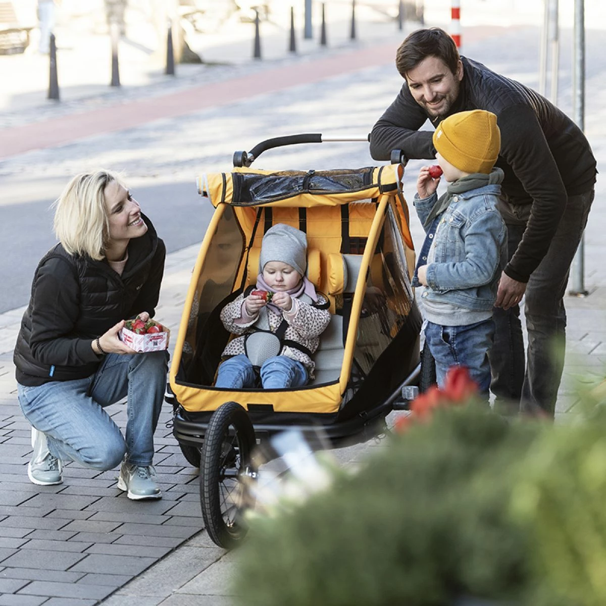 XLC Remorque Enfant Duo S 20" Gris/orange 4 XLC Remorque Enfant Duo S 20" Gris/orange – Image 2