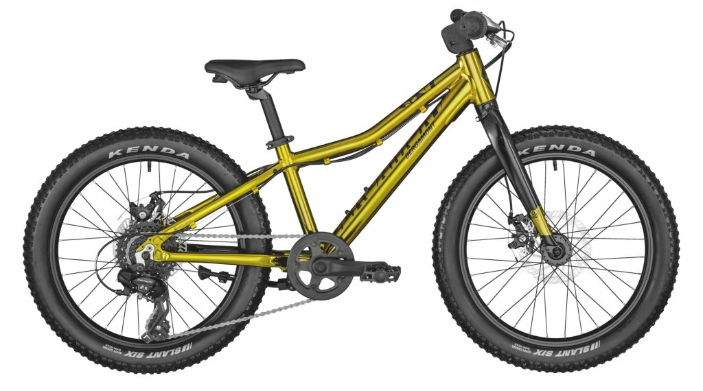 Bergamont Bergamonster Plus Boy 20" Vélo Enfants Gr. Unique Mirror Or Mod. 2022 3 Bergamont Bergamonster Plus Boy 20" Vélo Enfants Gr. Unique Mirror Or Mod. 2022