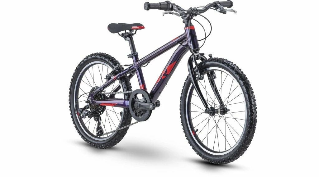 R-raymon R Raymon TwoRay 1.0 20" Vélo Enfants Gr. Mod. 2022 5 R-raymon R Raymon TwoRay 1.0 20" Vélo Enfants Gr. Mod. 2022 – Image 3